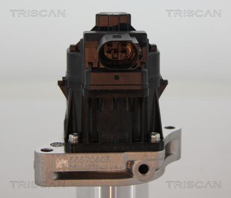 Triscan 8813 24205 - Клапан повернення ОГ autocars.com.ua