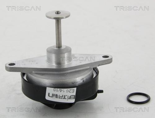 Triscan 8813 24208 - Клапан повернення ОГ autocars.com.ua