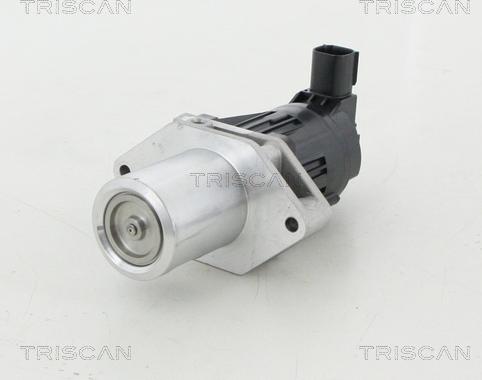Triscan 8813 24209 - Клапан повернення ОГ autocars.com.ua