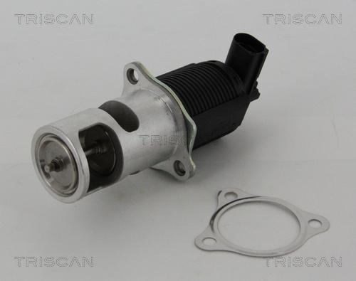 Triscan 8813 25005 - Клапан рецеркуляції відпрацьованих газів autocars.com.ua