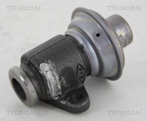 Triscan 8813 25006 - Клапан повернення ОГ autocars.com.ua