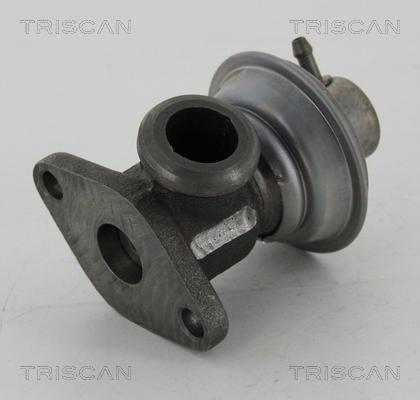 Triscan 8813 25011 - Клапан повернення ОГ autocars.com.ua