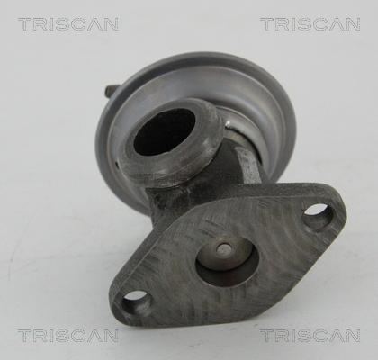 Triscan 8813 25011 - Клапан повернення ОГ autocars.com.ua