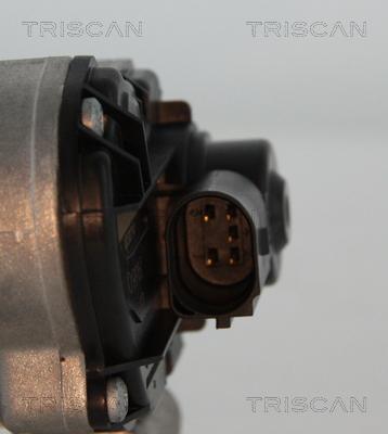 Triscan 8813 25018 - Клапан повернення ОГ autocars.com.ua