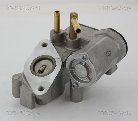 Triscan 8813 25018 - Клапан повернення ОГ autocars.com.ua