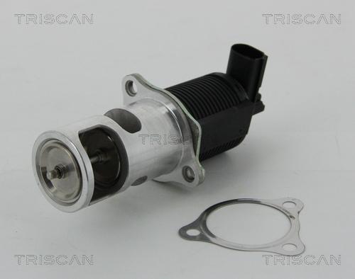 Triscan 8813 25038 - Клапан повернення ОГ autocars.com.ua