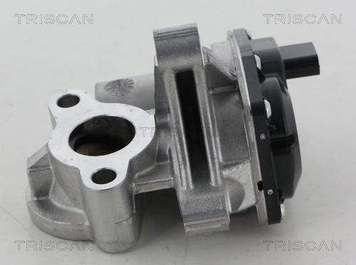 Triscan 8813 25041 - Клапан повернення ОГ autocars.com.ua
