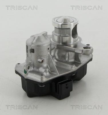 Triscan 8813 25042 - Клапан повернення ОГ autocars.com.ua