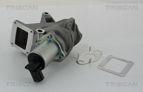 Triscan 8813 25100 - Клапан повернення ОГ autocars.com.ua