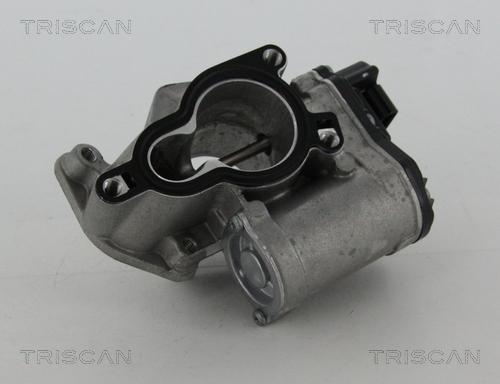 Triscan 8813 25203 - Клапан повернення ОГ autocars.com.ua