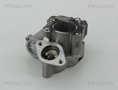 Triscan 8813 25203 - Клапан повернення ОГ autocars.com.ua