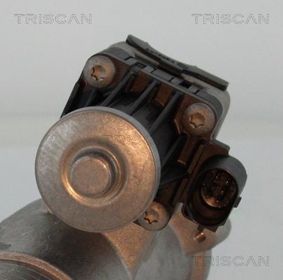 Triscan 8813 27102 - Клапан возврата ОГ autodnr.net