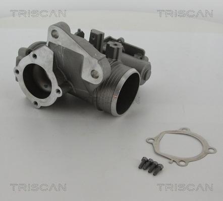 Triscan 8813 27103 - Клапан повернення ОГ autocars.com.ua