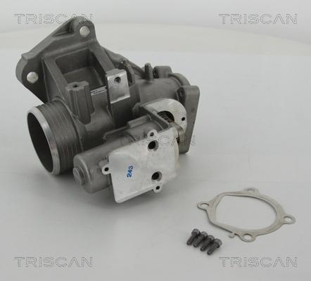 Triscan 8813 27103 - Клапан повернення ОГ autocars.com.ua