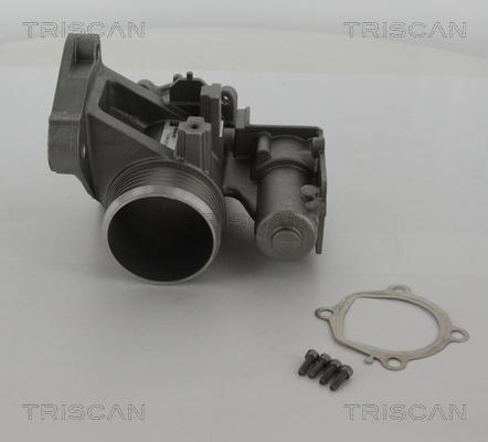 Triscan 8813 27103 - Клапан повернення ОГ autocars.com.ua