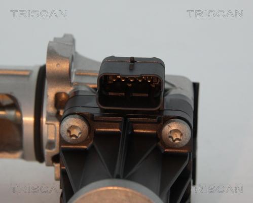 Triscan 8813 28005 - Клапан повернення ОГ autocars.com.ua