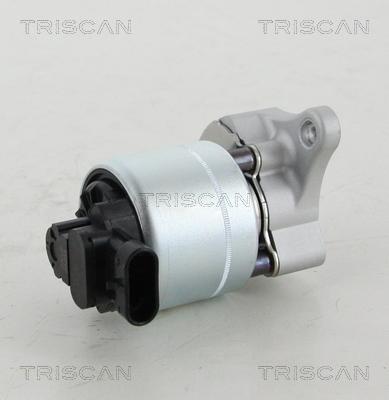 Triscan 8813 28008 - Клапан рецеркуляції відпрацьованих газів autocars.com.ua