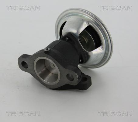 Triscan 8813 28011 - Клапан повернення ОГ autocars.com.ua