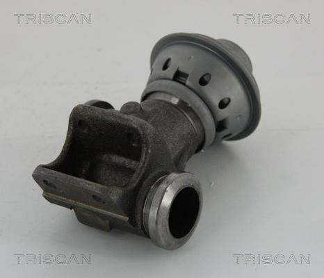 Triscan 8813 28013 - Клапан повернення ОГ autocars.com.ua