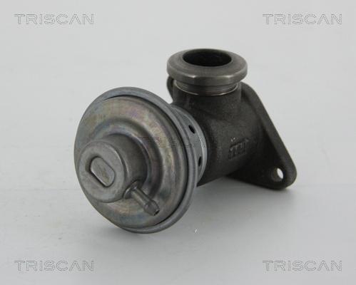Triscan 8813 28014 - Клапан повернення ОГ autocars.com.ua