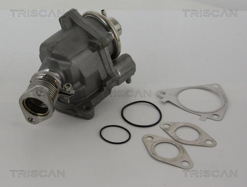 Triscan 8813 28019 - Клапан AGR Citroen Jumper-Fiat Ducato 3.0HDI 06- autocars.com.ua