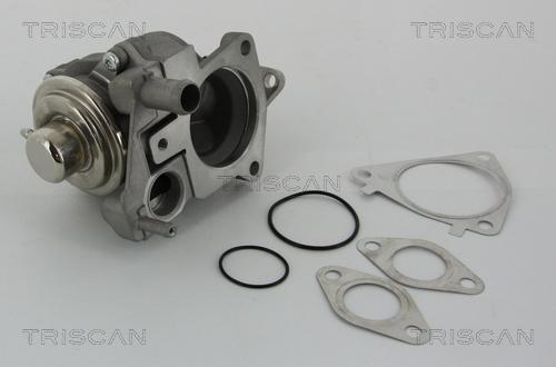 Triscan 8813 28019 - Клапан AGR Citroen Jumper-Fiat Ducato 3.0HDI 06- autocars.com.ua