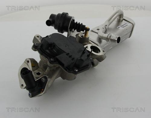 Triscan 8813 28044 - Клапан повернення ОГ autocars.com.ua