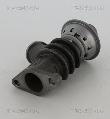 Triscan 8813 28100 - Клапан повернення ОГ autocars.com.ua