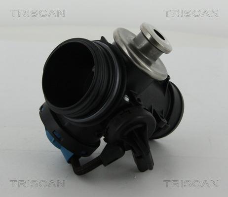 Triscan 8813 28200 - Клапан повернення ОГ autocars.com.ua