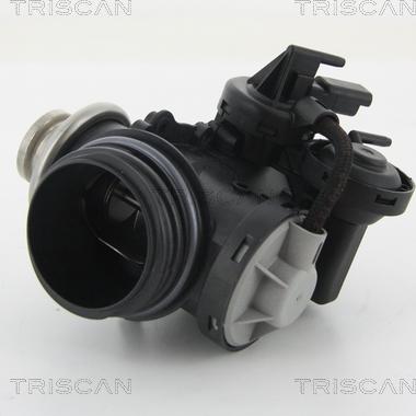 Triscan 8813 28201 - Клапан повернення ОГ autocars.com.ua