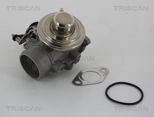 Triscan 8813 29001 - Клапан повернення ОГ autocars.com.ua