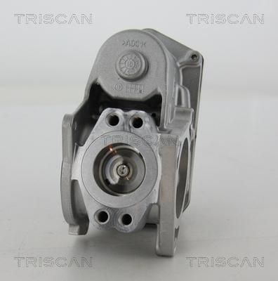 Triscan 8813 29003 - Клапан повернення ОГ autocars.com.ua