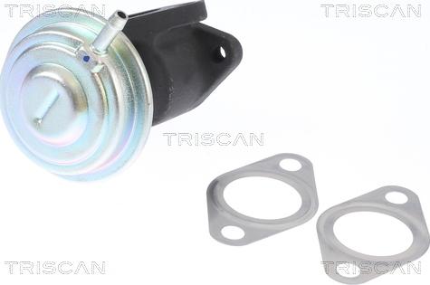 Triscan 8813 29016 - Клапан повернення ОГ autocars.com.ua
