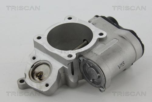 Triscan 8813 29028 - Клапан повернення ОГ autocars.com.ua