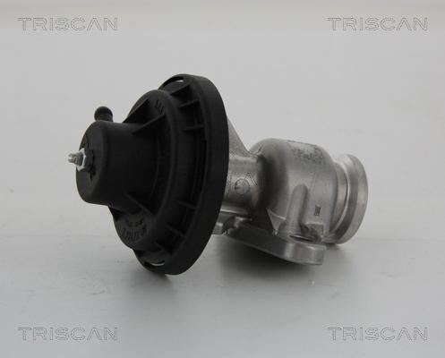 Triscan 881329034 - Клапан повернення ОГ autocars.com.ua