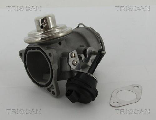 Triscan 8813 29036 - Клапан повернення ОГ autocars.com.ua