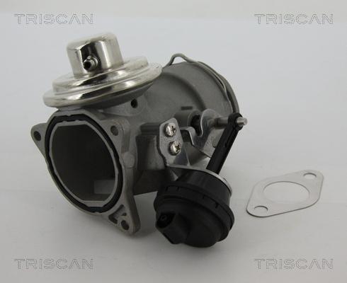 Triscan 8813 29040 - Клапан повернення ОГ autocars.com.ua