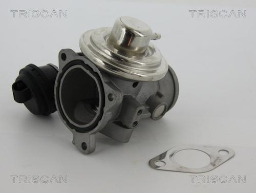Triscan 8813 29057 - Клапан повернення ОГ autocars.com.ua