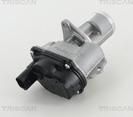 Triscan 8813 29065 - Клапан повернення ОГ autocars.com.ua