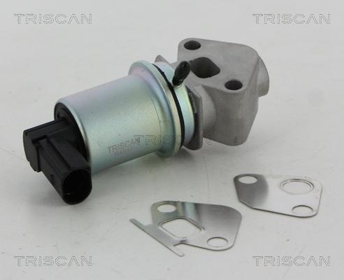 Triscan 8813 29066 - Клапан повернення ОГ autocars.com.ua