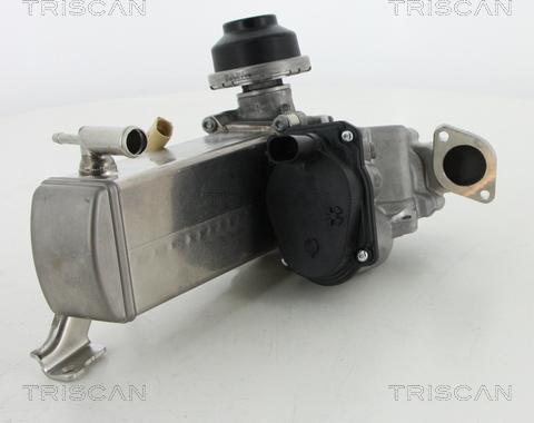 Triscan 8813 29071 - Клапан повернення ОГ autocars.com.ua