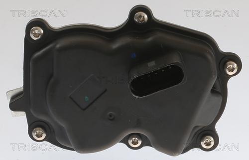 Triscan 8813 29083 - Клапан повернення ОГ autocars.com.ua