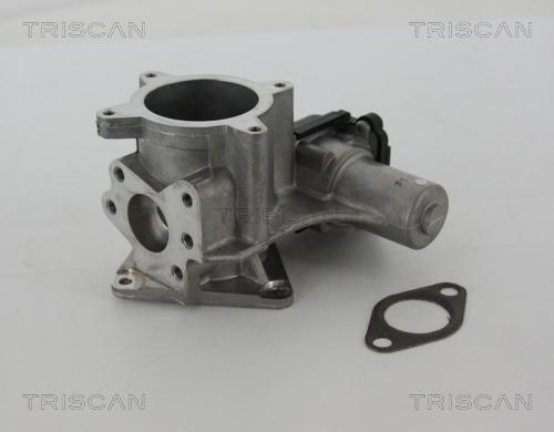 Triscan 8813 29105 - Клапан повернення ОГ autocars.com.ua