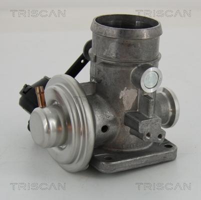 Triscan 8813 29300 - Клапан повернення ОГ autocars.com.ua