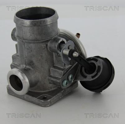 Triscan 8813 29300 - Клапан повернення ОГ autocars.com.ua