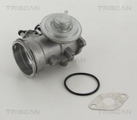 Triscan 8813 29302 - Клапан повернення ОГ autocars.com.ua