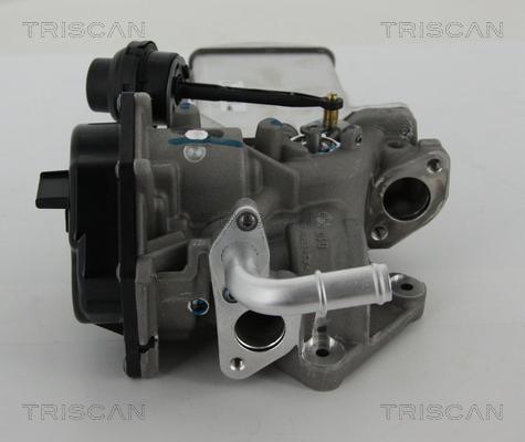 Triscan 8813 29303 - Клапан з радіатором AGR системи EGR VW T5 2.0TDI 09- autocars.com.ua