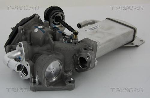 Triscan 8813 29303 - Клапан з радіатором AGR системи EGR VW T5 2.0TDI 09- autocars.com.ua