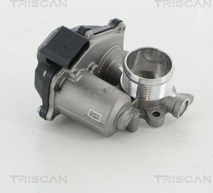 Triscan 8813 29316 - Клапан повернення ОГ autocars.com.ua