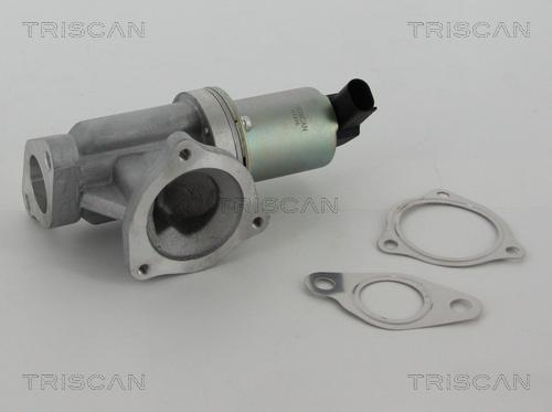 Triscan 8813 43002 - Клапан повернення ОГ autocars.com.ua